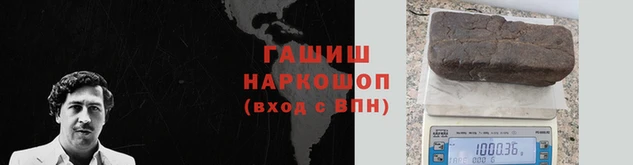 стаф Волосово