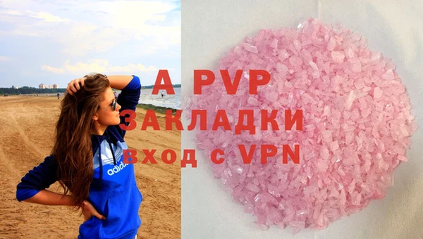 стаф Волосово