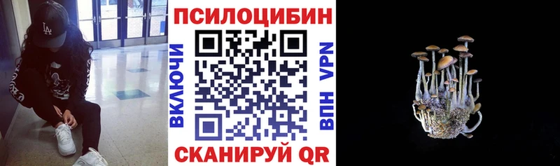 Псилоцибиновые грибы GOLDEN TEACHER  Купить  Саров 